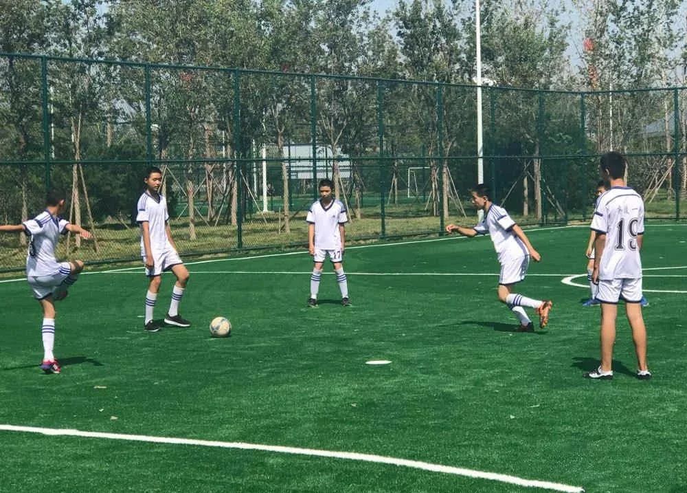  足球特色小镇落成，体旅融合激活经济  